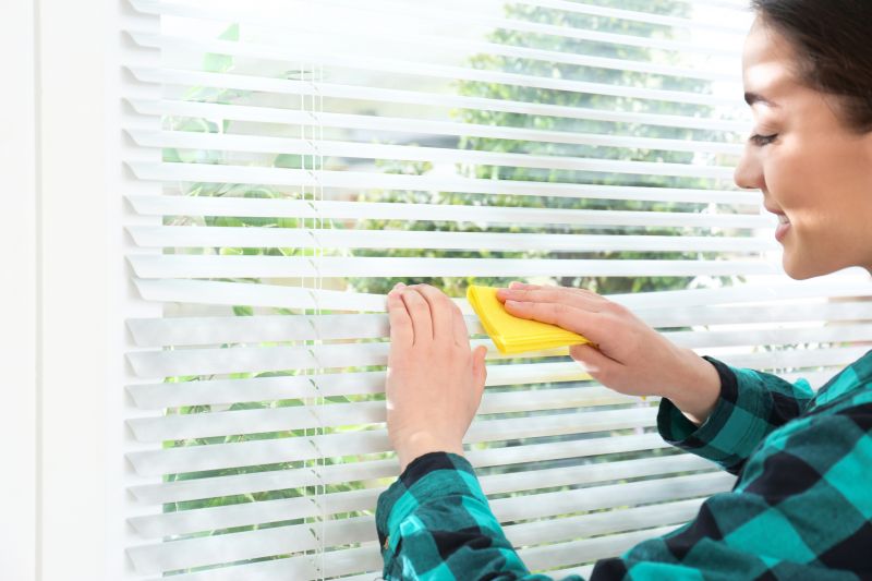Roman Shade Cleaning in Boston, MA