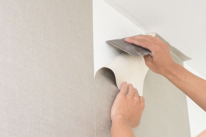 Wallpaper Repair in Denver County, CO